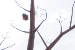 detalle-casita-pajaros-arbol-del-jardin-del-teatro-pupaclon